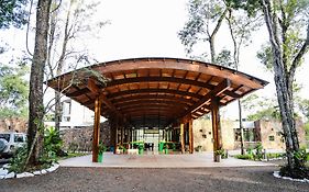 Rainforest Hotel&Cabañas